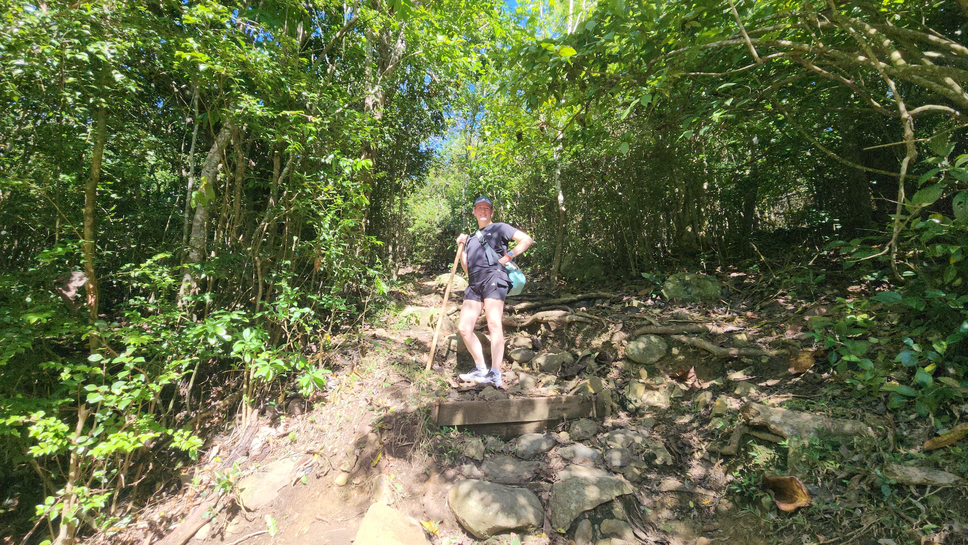 Panoramic view from the top