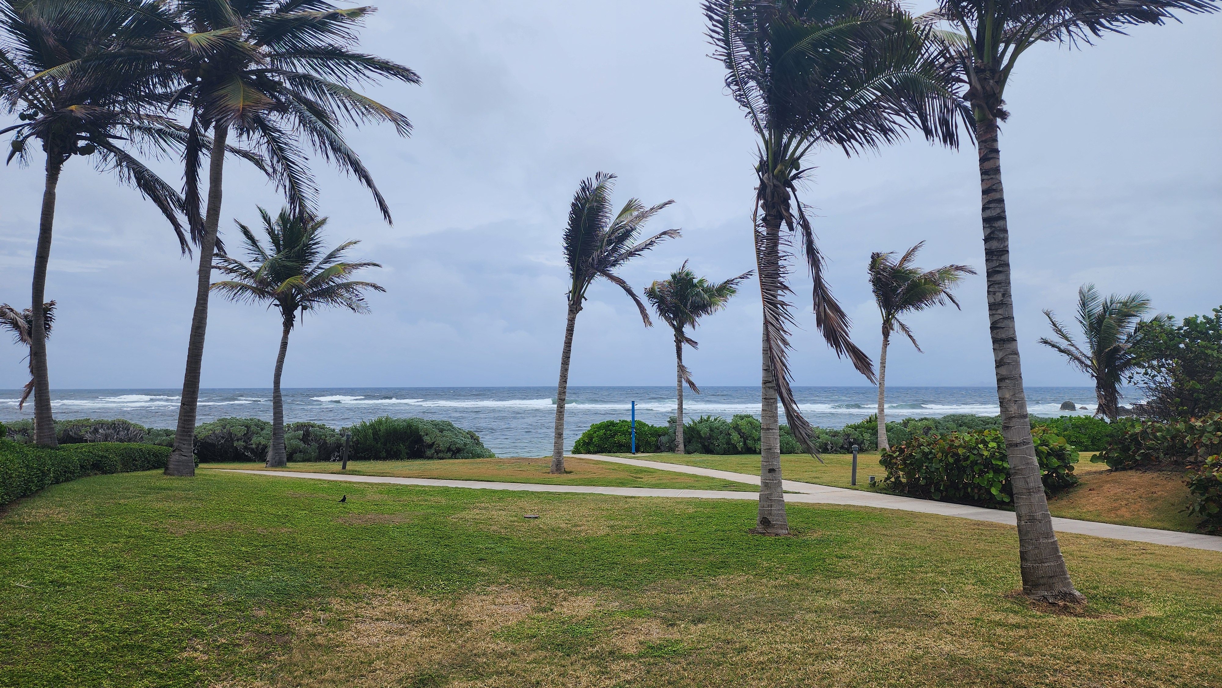 Dancing at the reception