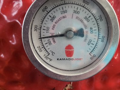 Overnight temperature stability test showing steady 240°F smoking zone.