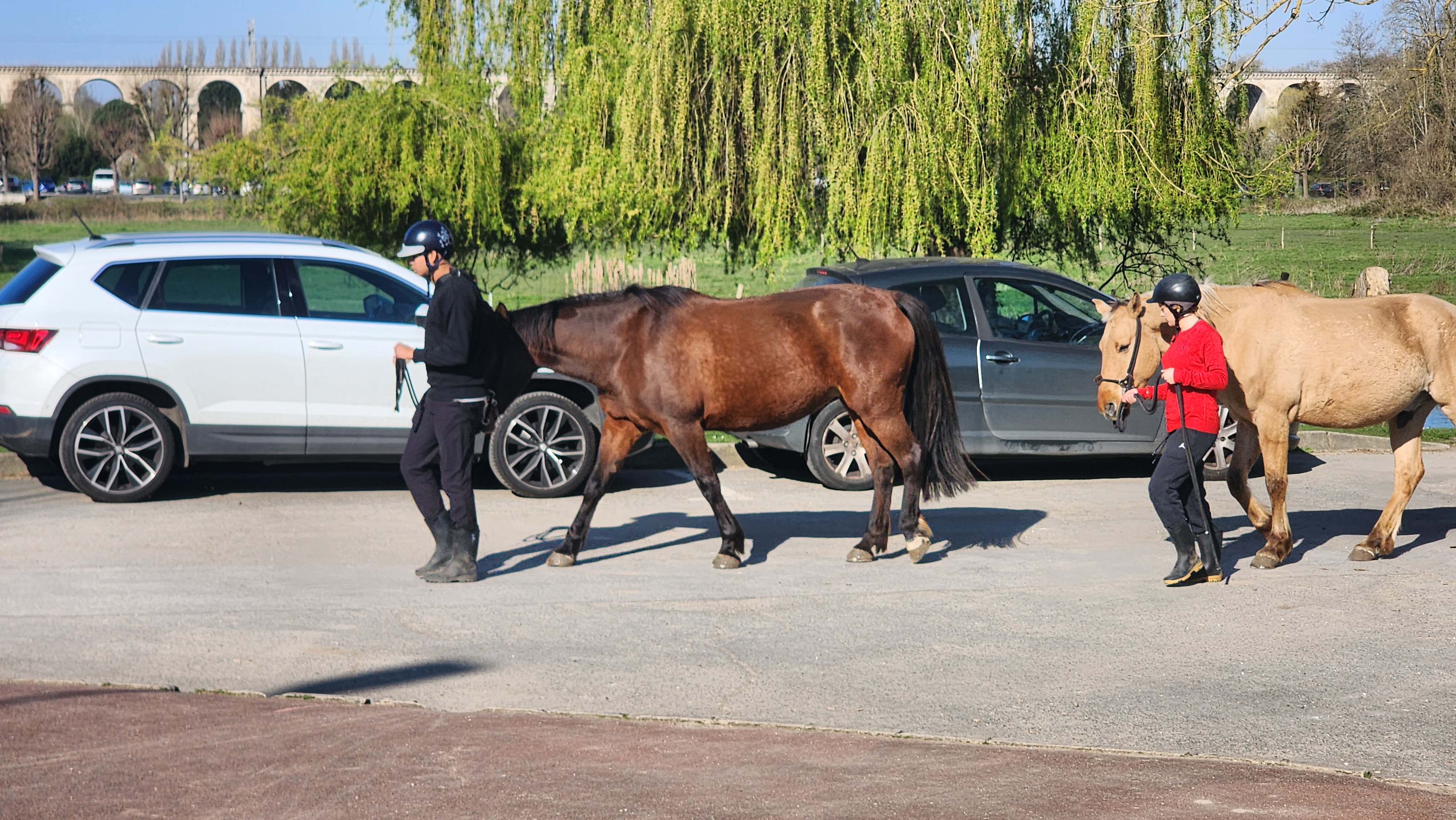 Walking with horses